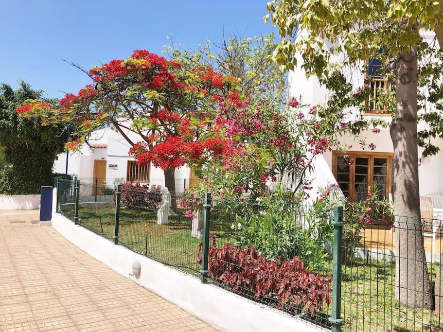 Apartamento Lucia Garden City Con Piscina Climatizada Плайя-Фаньябе Экстерьер фото