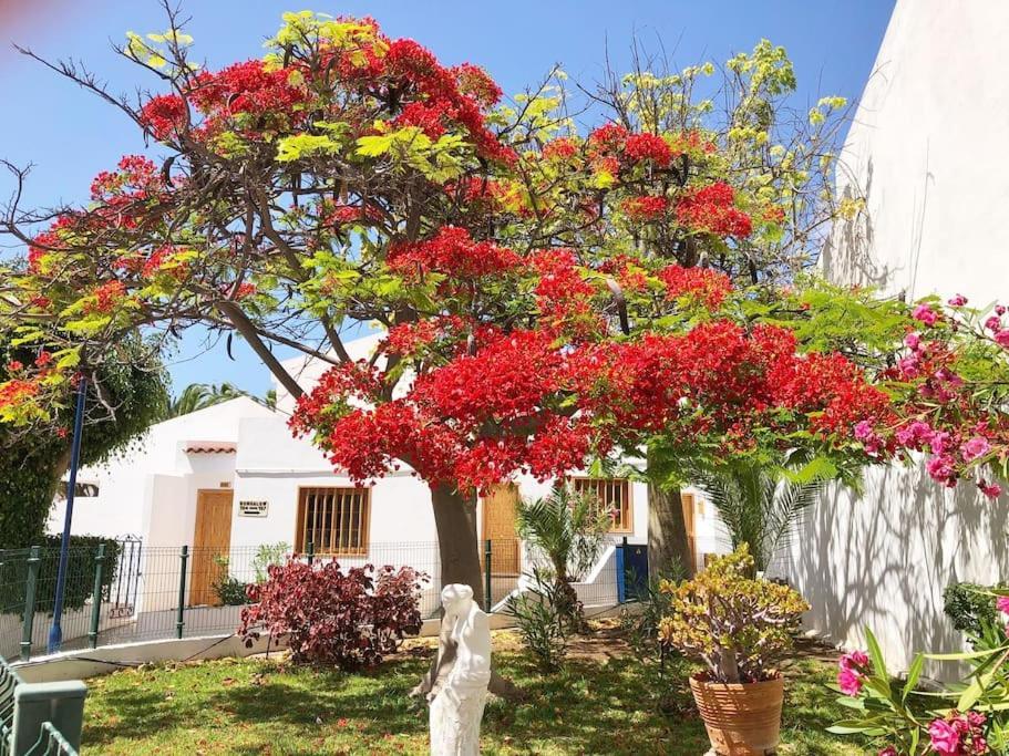 Apartamento Lucia Garden City Con Piscina Climatizada Плайя-Фаньябе Экстерьер фото